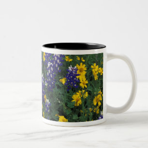 N.A, USA, Texas, Marble Falls, Blaue Hauben Zweifarbige Tasse
