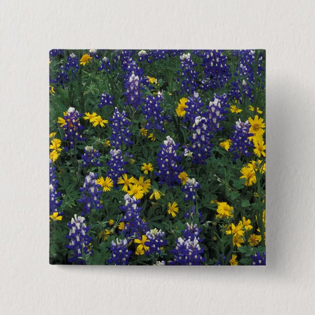 N.A., USA, Texas, Marble Falls, Blue Bonnets Button (Vorderseite)