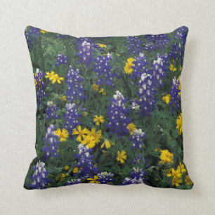 N.A., USA, Texas, Marble Falls, Blue Bonnets Kissen