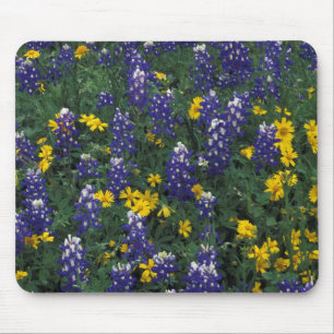 N.A., USA, Texas, Marble Falls, Blue Bonnets Mousepad