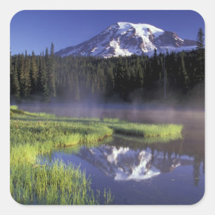N.A., USA, Washington, Mt. Rainier National 5 Quadratischer Aufkleber