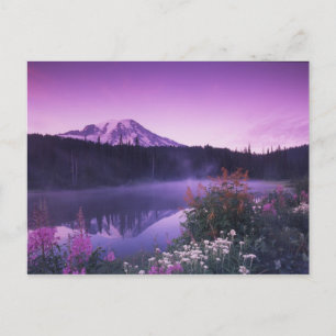 N.A., USA, Washington, Mt. Rainier National Postkarte