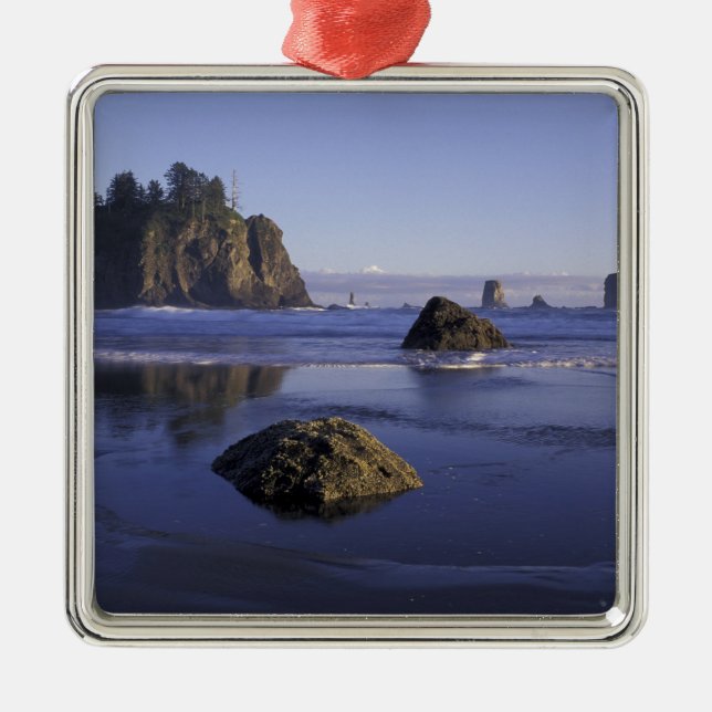 N.A., USA, Washington, Olympic National Park, 3 Silbernes Ornament (Vorne)