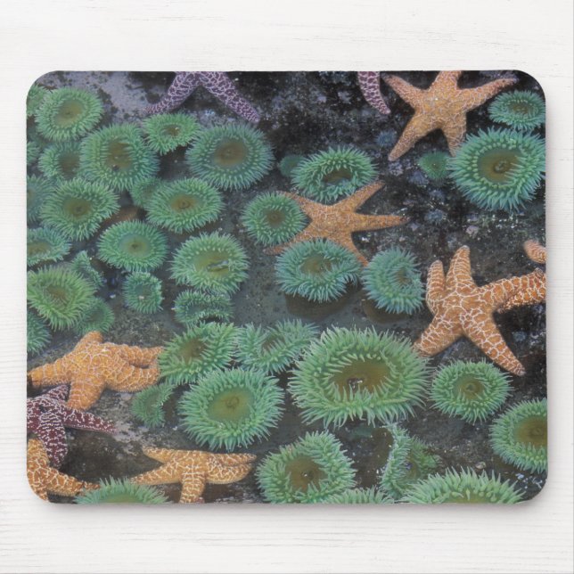 N.A., USA, Washington, Olympic National Park Mousepad (Vorne)