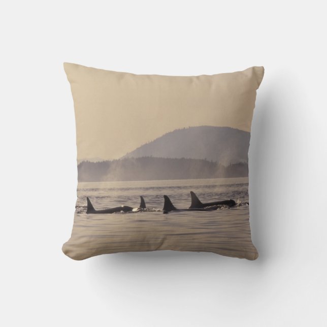 N.A., USA, Washington, San Juan Islands Orca Kissen (Vorderseite)