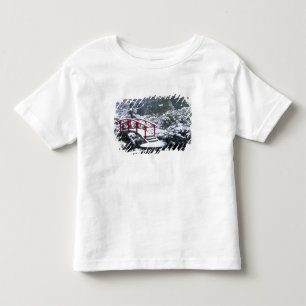 N.A., USA, Washington, Seattle. Mondbrücke in Kleinkind T-shirt