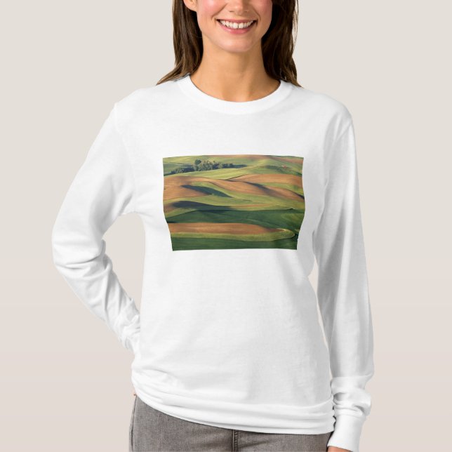 N.A., USA, Washington, Whitman County. T-Shirt (Vorderseite)