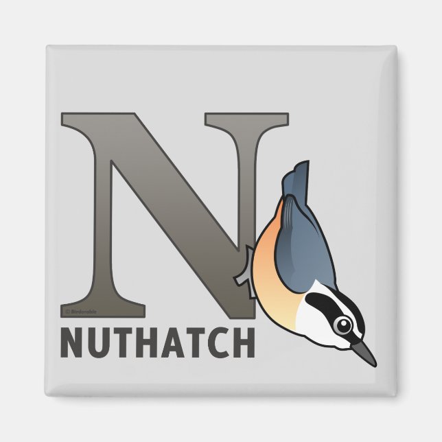 N für Nuthatch Magnet (Vorne)