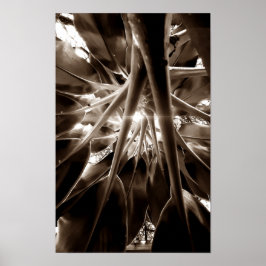 Na direção do sol poster
