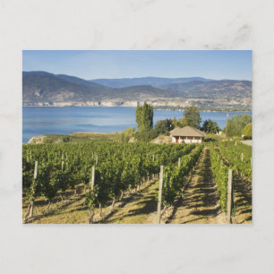 NA; Kanada; British Columbia; Okanagan Valley; Postkarte