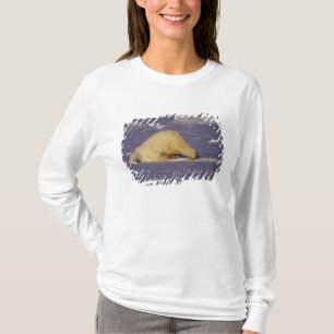 NA, Kanada, Manitoba, Churchill, Eisbär T-Shirt