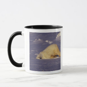 NA, Kanada, Manitoba, Churchill, Eisbär Tasse