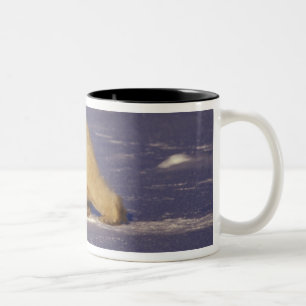 NA, Kanada, Manitoba, Churchill, Eisbär Zweifarbige Tasse