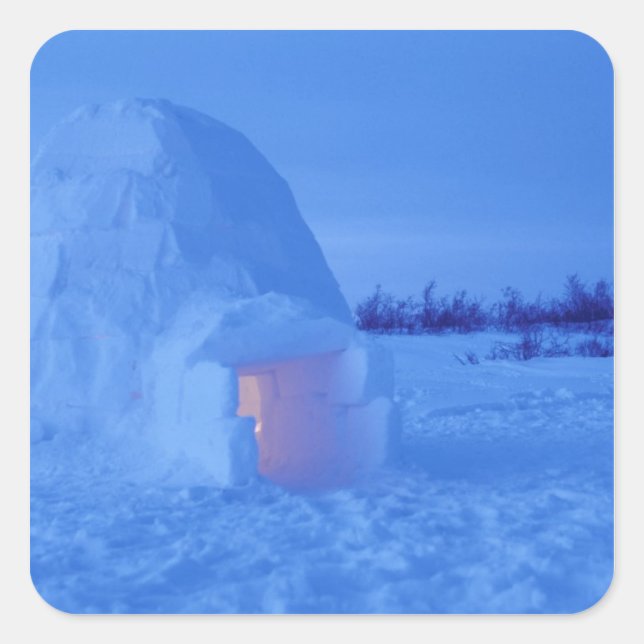 NA, Kanada, Manitoba, Churchill. Poligloo Quadratischer Aufkleber (Vorderseite)