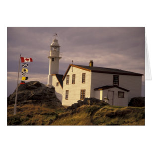NA, Kanada, Neufundland, Lobster Cove. Hummer