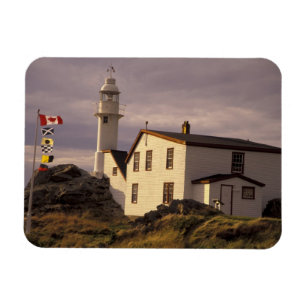 NA, Kanada, Neufundland, Lobster Cove. Hummer Magnet