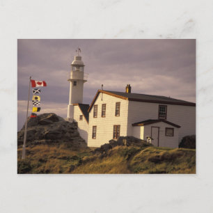 NA, Kanada, Neufundland, Lobster Cove. Hummer Postkarte