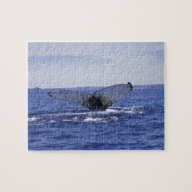 NA, Kanada, Neufundland, Trinity Bay. Humpback (Horizontal)