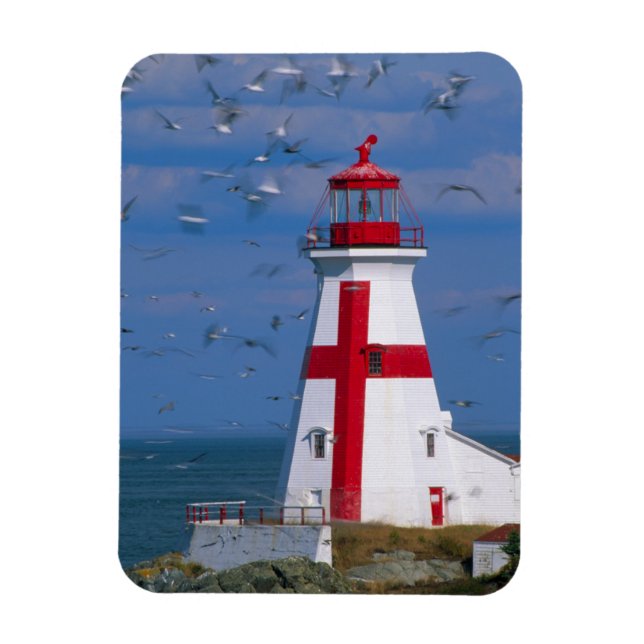 NA, Kanada, New Brunswick, Campobello Island. 8 Magnet (Vertikal)