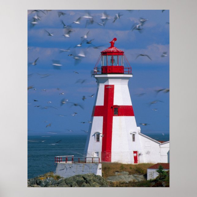 NA, Kanada, New Brunswick, Campobello Island. 8 Poster (Vorne)
