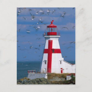 NA, Kanada, New Brunswick, Campobello Island. 8 Postkarte