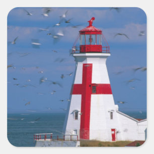 NA, Kanada, New Brunswick, Campobello Island.8 Quadratischer Aufkleber