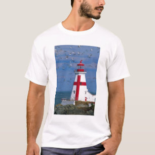 NA, Kanada, New Brunswick, Campobello Island. 8 T-Shirt