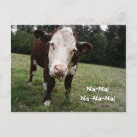 Na, Na! Funny Cow Sticks Out Tongue