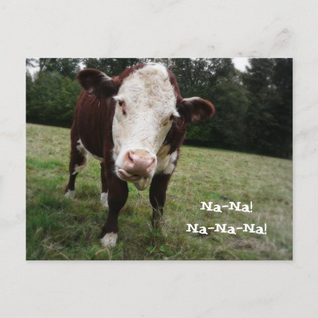 Na, Na! Funny Cow Sticks Out Tongue Postkarte (Vorderseite)