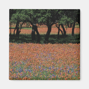NA, Texas, Texas Hill Country, Buchan Dam, Magnet