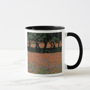 NA, Texas, Texas Hill Country, Buchan Dam, Tasse