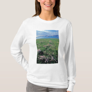 NA, USA, Alaska, Aleuten-Insel, Landschaft mit T-Shirt