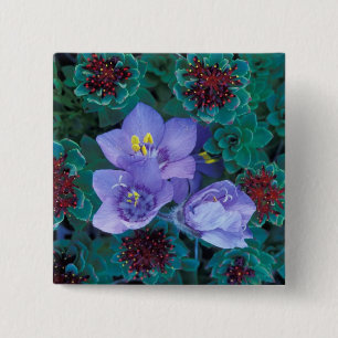 NA, USA, Alaska, Aleuten, Wildblumen 2 Button
