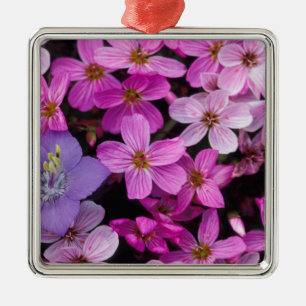 NA, USA, Alaska, Aleuten, Wildblumen Ornament Aus Metall