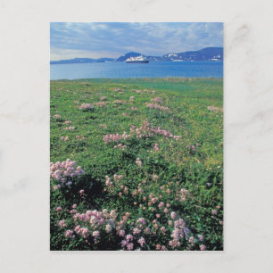NA, USA, Alaska, Aleutian Island, Landschaft mit Postkarte