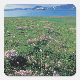 NA, USA, Alaska, Aleutian Island, Landschaft mit Quadratischer Aufkleber