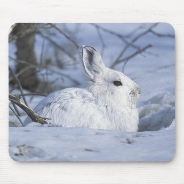 NA, USA, Alaska. Arktische Naturlandschaft Mousepad (Vorne)