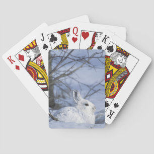 NA, USA, Alaska. Arktisches Nationalwildtier Spielkarten