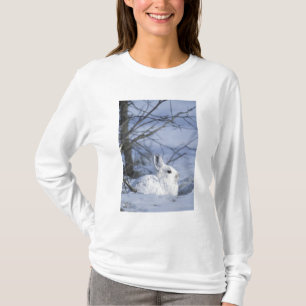 NA, USA, Alaska. Arktisches Nationalwildtier T-Shirt
