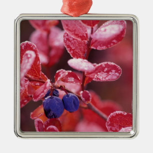 NA, USA, Alaska, Denali NP, Blaubeeren in Ornament Aus Metall