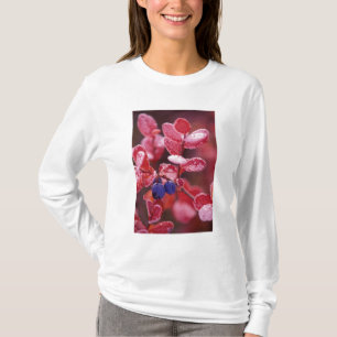 NA, USA, Alaska, Denali NP, Blaubeeren in T-Shirt