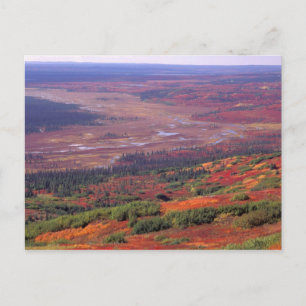 NA, USA, Alaska, Denali NP, Blick auf McKinley Postkarte
