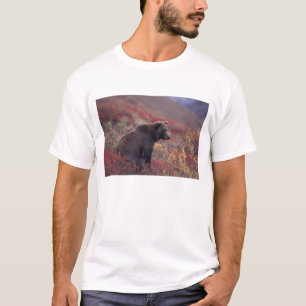 NA, USA, Alaska, Denali NP. Ein weiblicher Grizzly T-Shirt