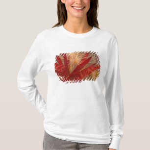 NA, USA, Alaska, Denali NP, Fireweed und Wildtiere T-Shirt