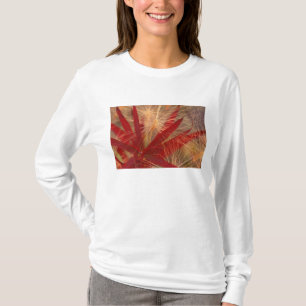 NA, USA, Alaska, Denali NP, Fireweed und Wildtiere T-Shirt