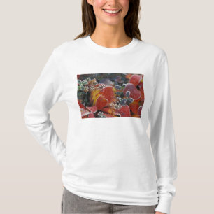 NA, USA, Alaska, Denali NP Frost, herbstfarben T-Shirt