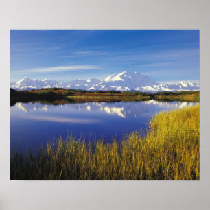 NA, USA, Alaska, Denali NP McKinley in Poster