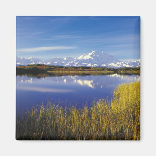 NA, USA, Alaska, Denali NP Mt. McKinley in Magnet