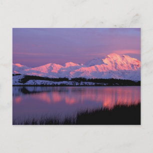 NA, USA, Alaska, Denali NP, Mt. McKinley, Postkarte