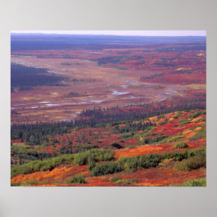 NA, USA, Alaska, Denali NP, View of McKinley Poster